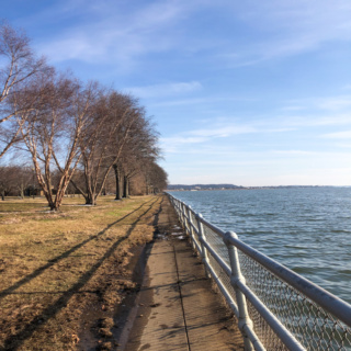 view of the water from hains point in dc