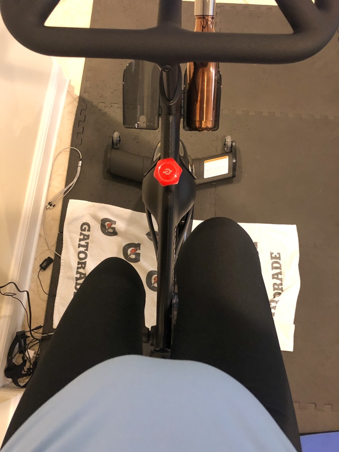 pregnant peloton