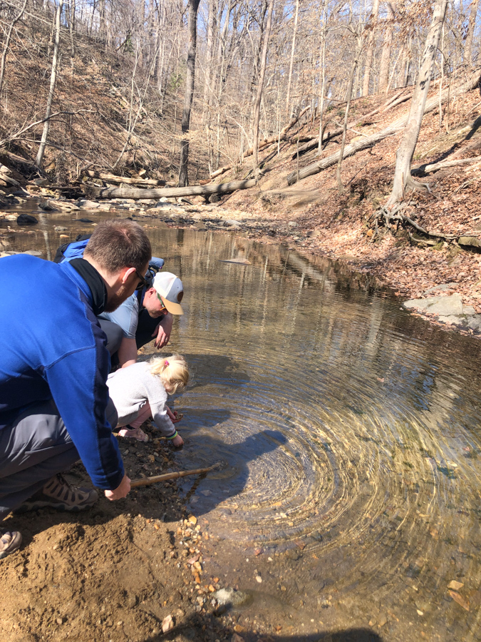 playing in the water on our hike