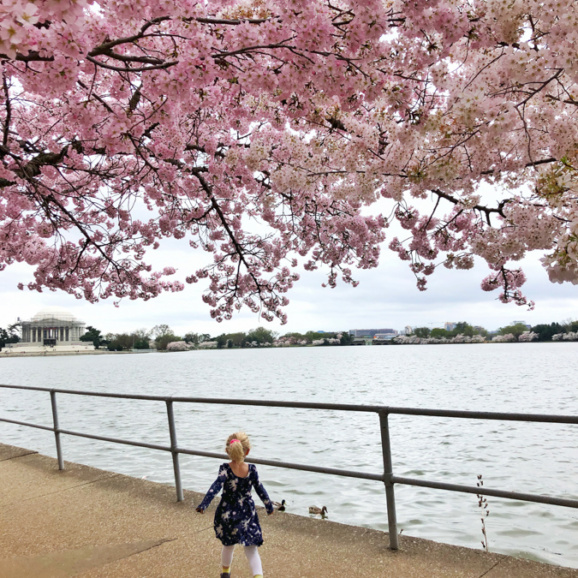 toddler running towards the cherry blossoms