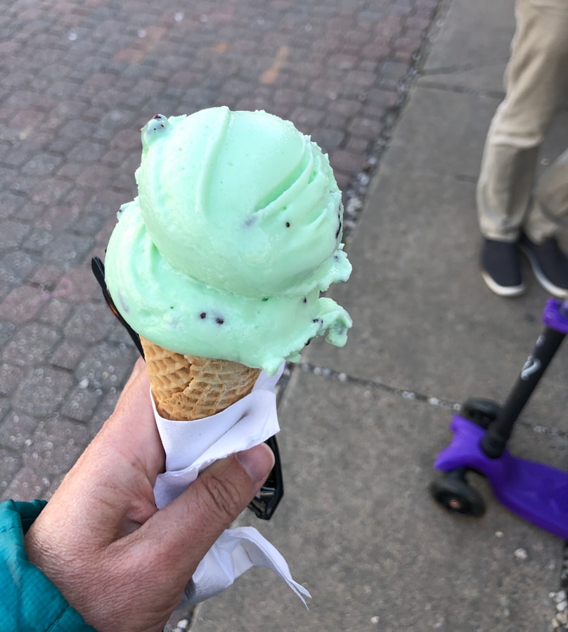 mint chocolate chip gelato from boccato del ray