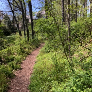 trail in vienna va
