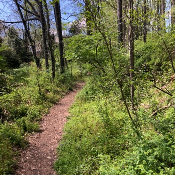trail in vienna va