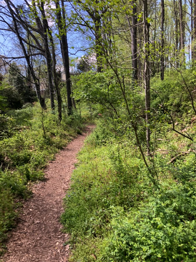 trail in vienna va