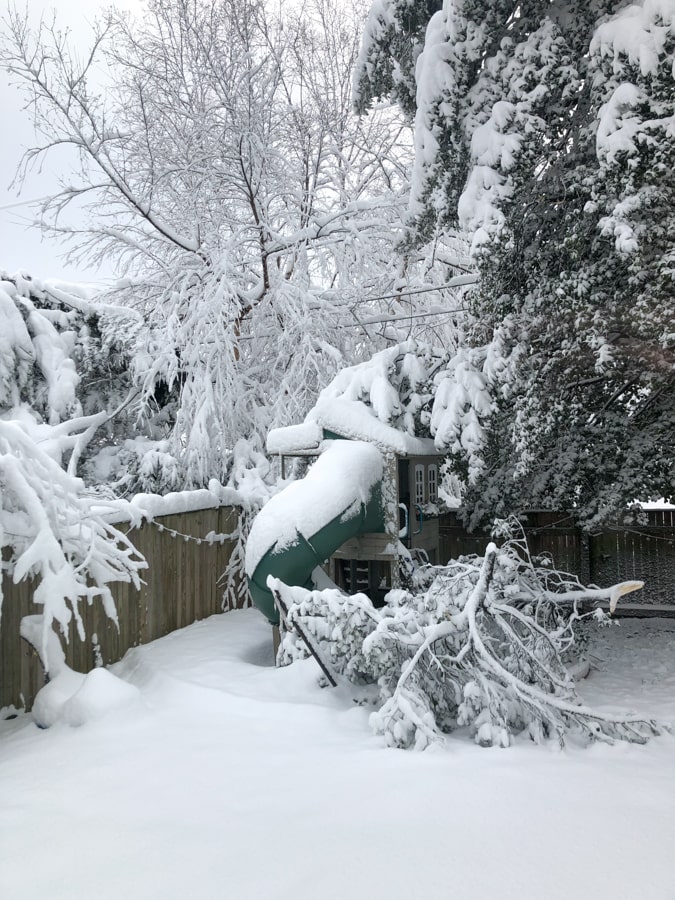 backyard snow storm view