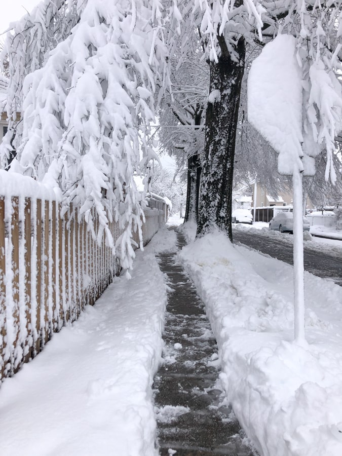 del ray snow storm