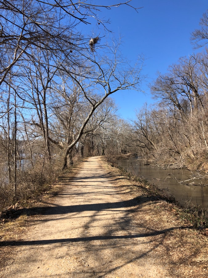 c&o canal trail near cabin john maryland
