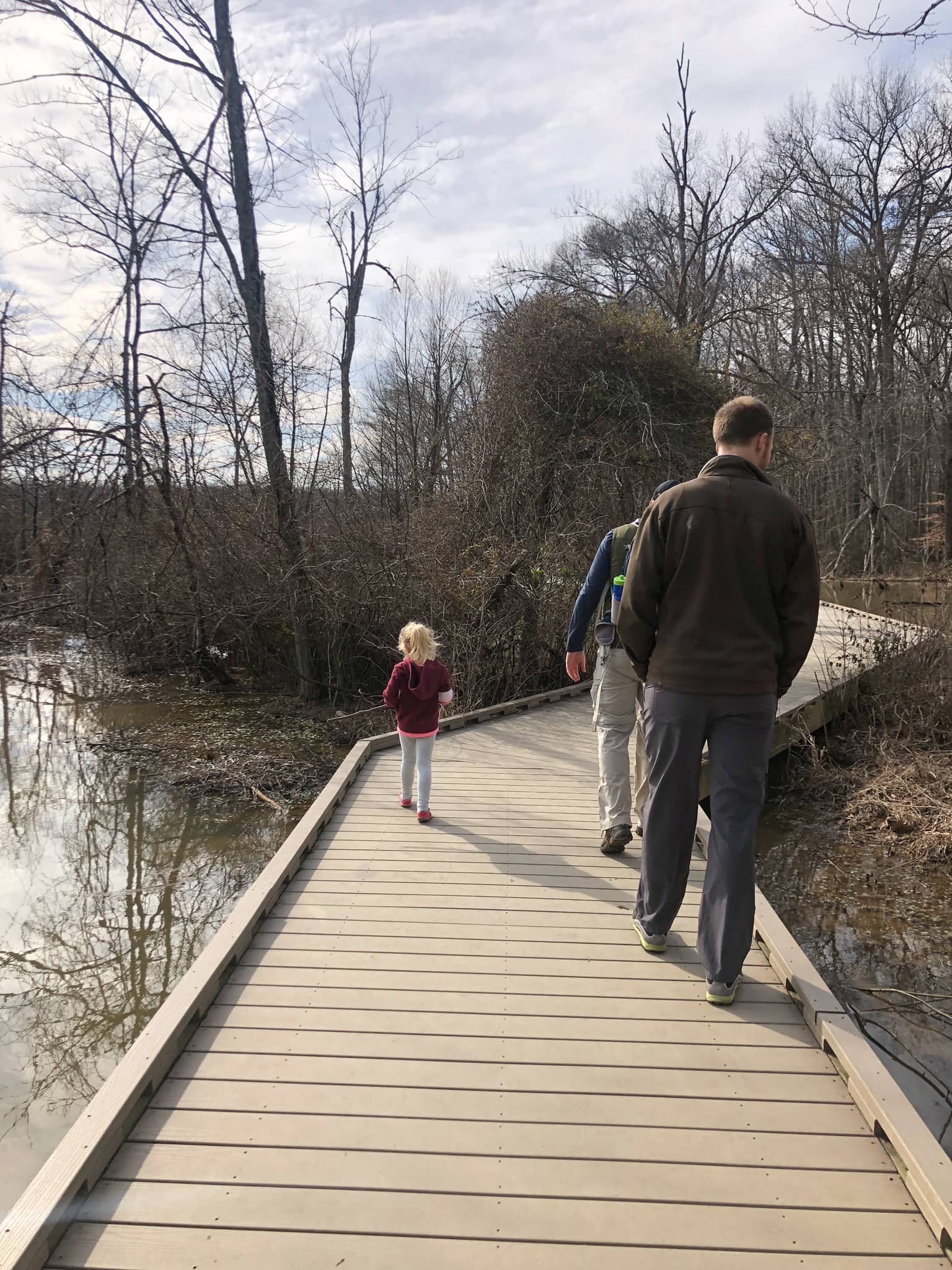 hiking at huntley meadows park