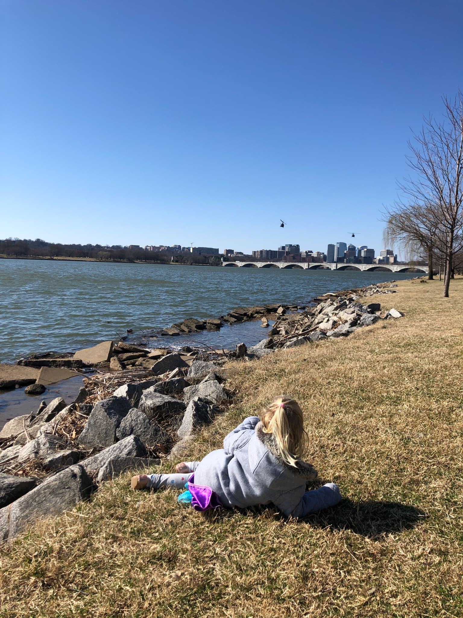 lounging on ohio drive in dc
