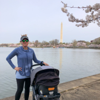 visiting the dc cherry blossoms at the tidal basin