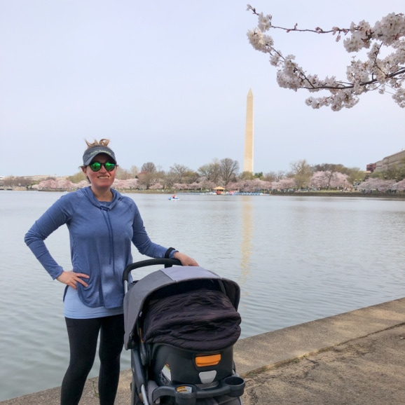 visiting the dc cherry blossoms at the tidal basin
