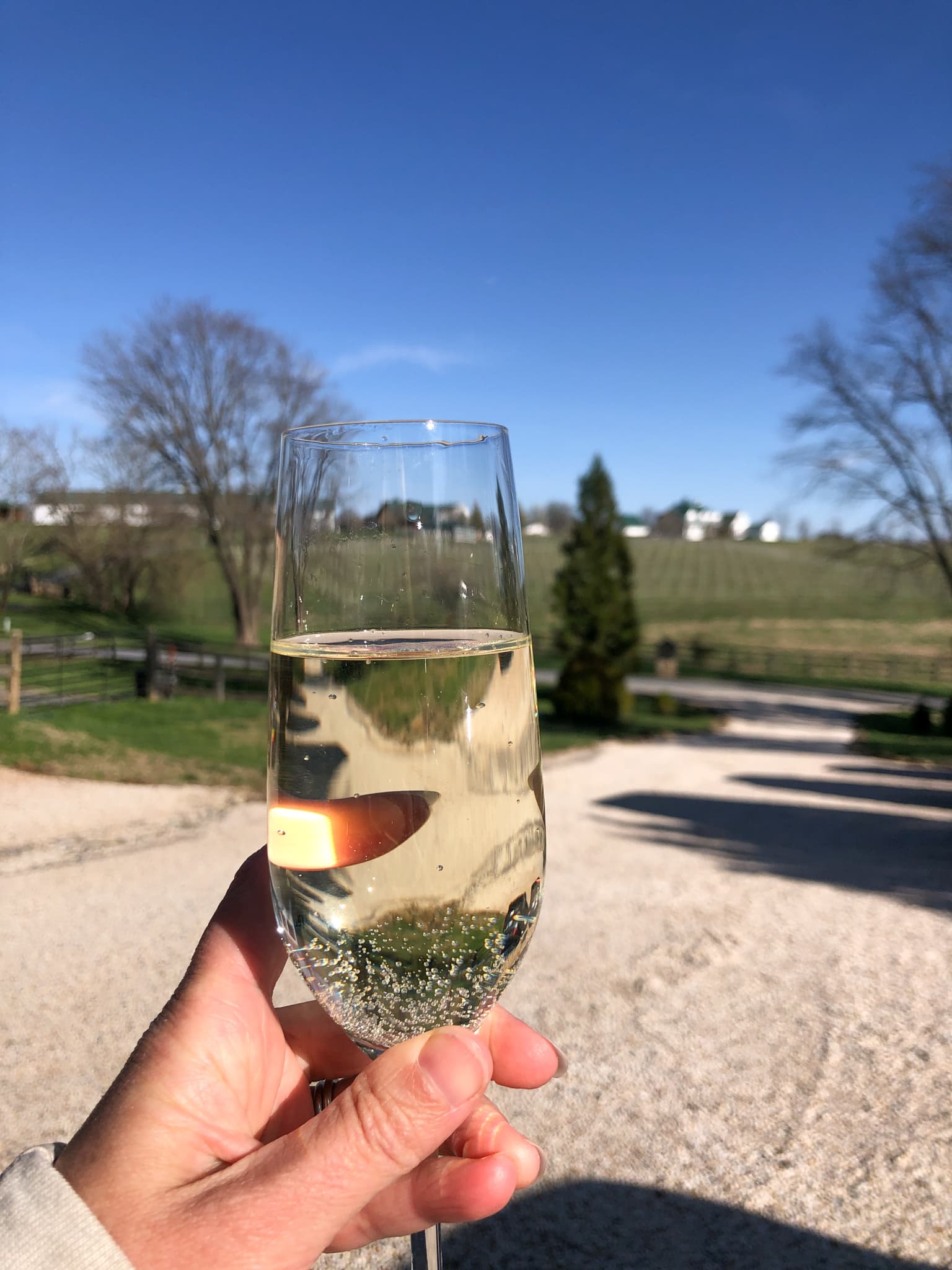 drinking prosecco at tranquility farm
