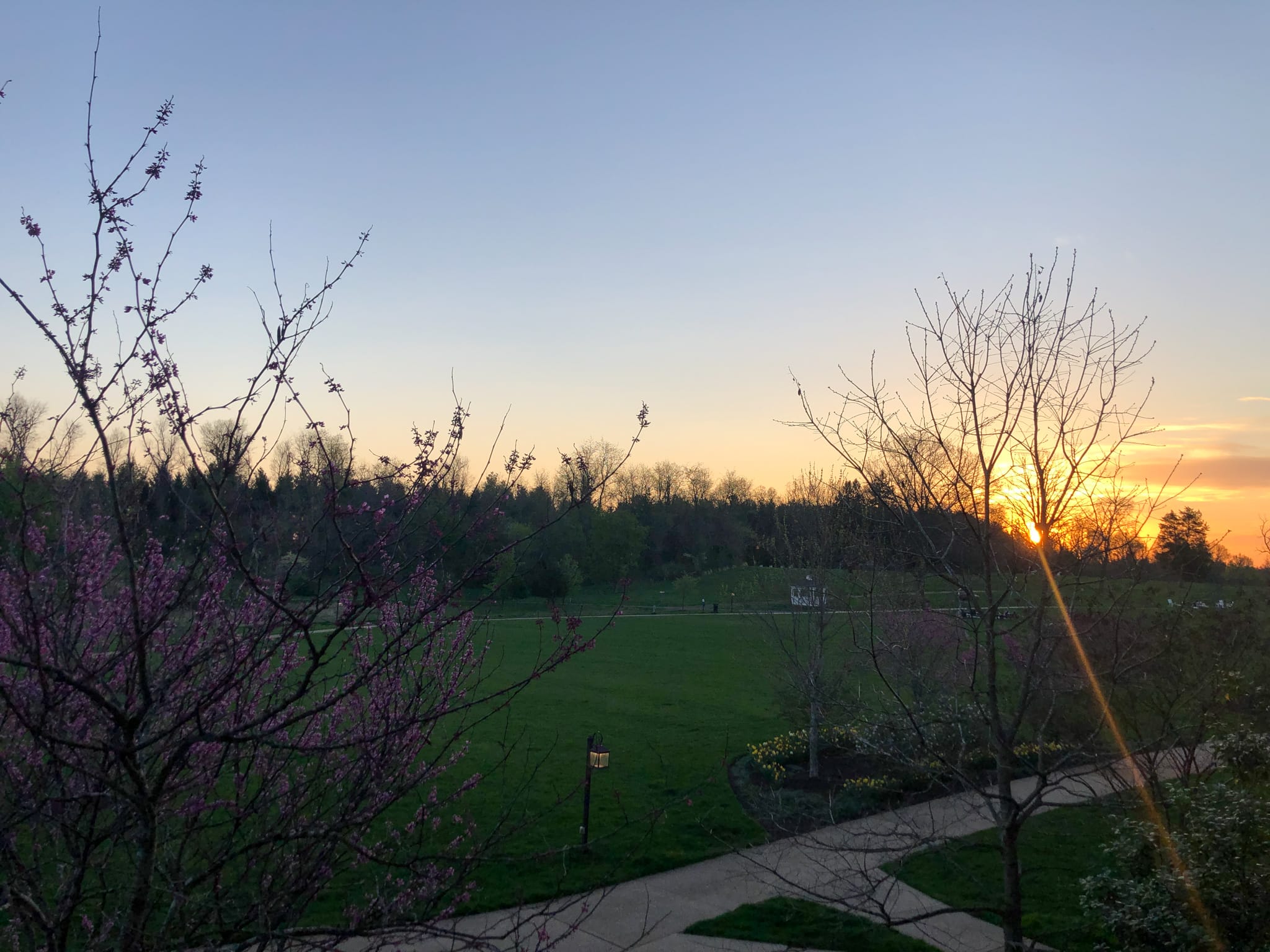 sunrise view from salamander hotel