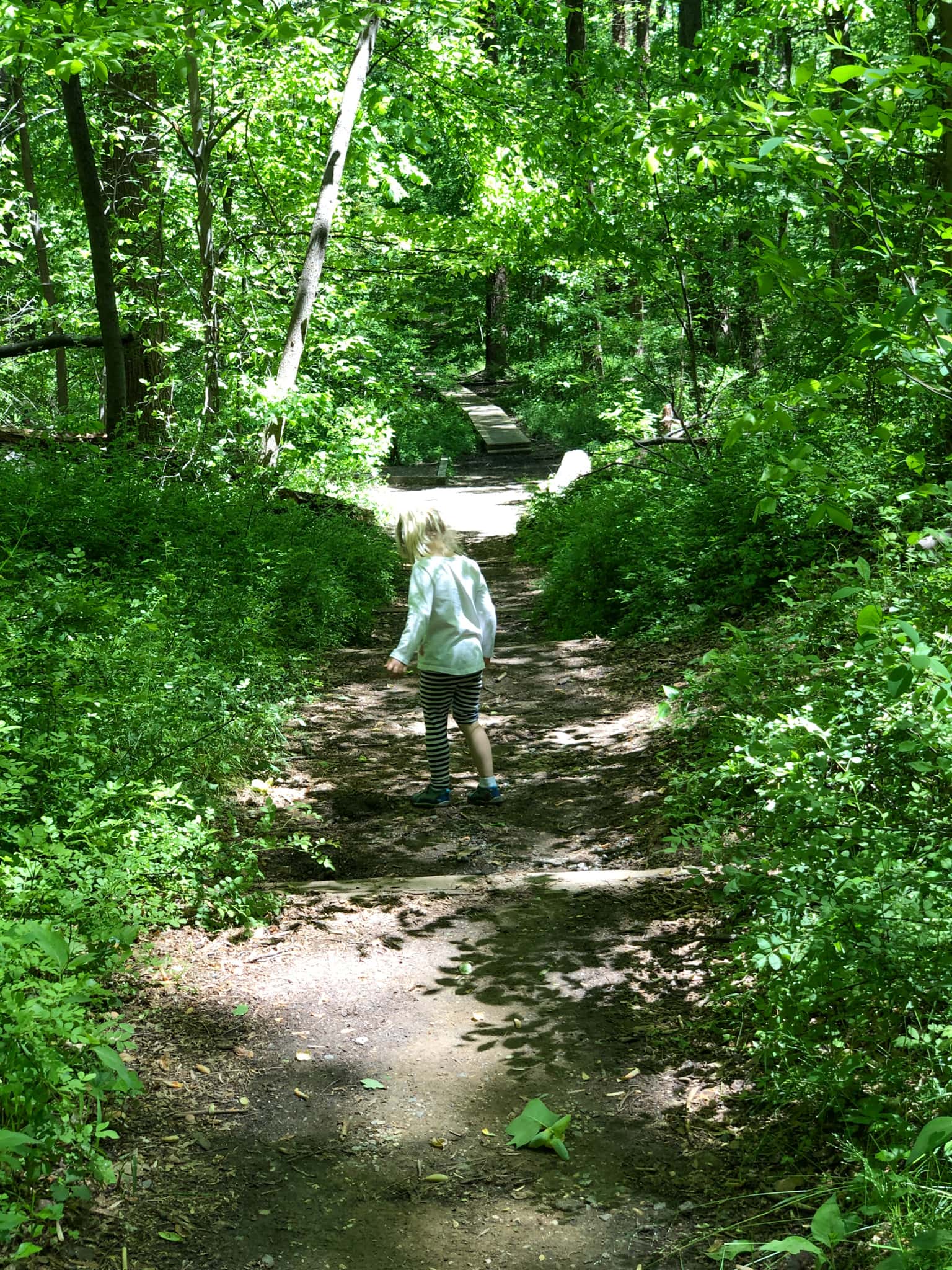 4 year old on a trail