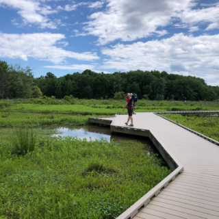 huntley meadows boardwalk