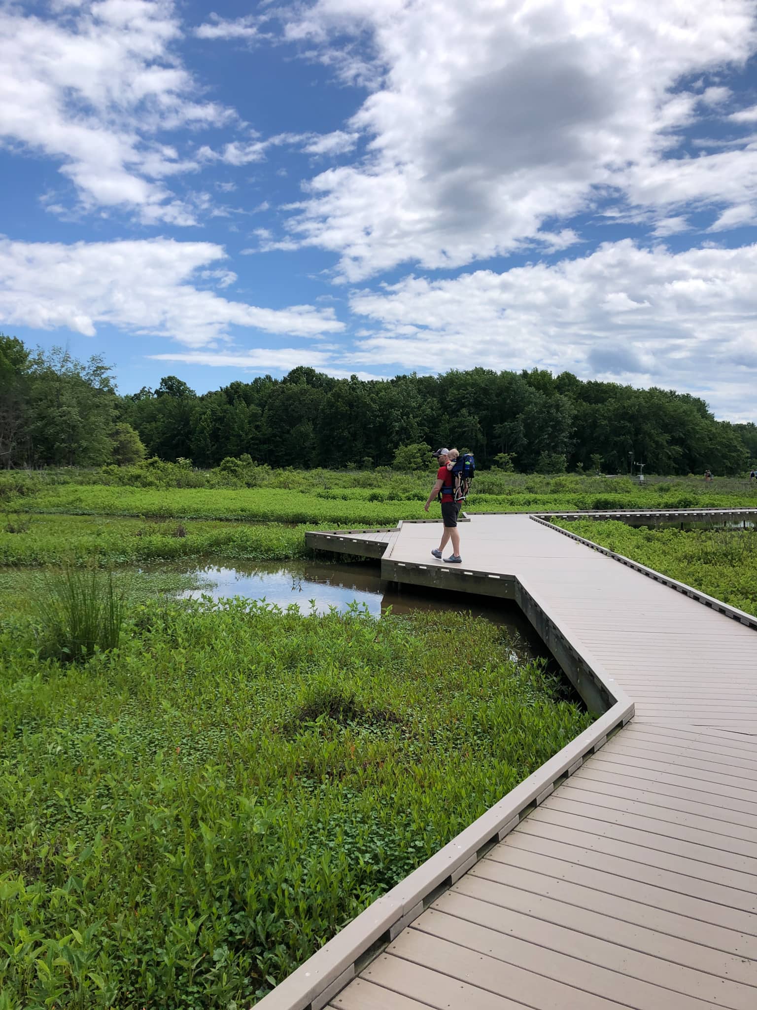 huntley meadows boardwalk