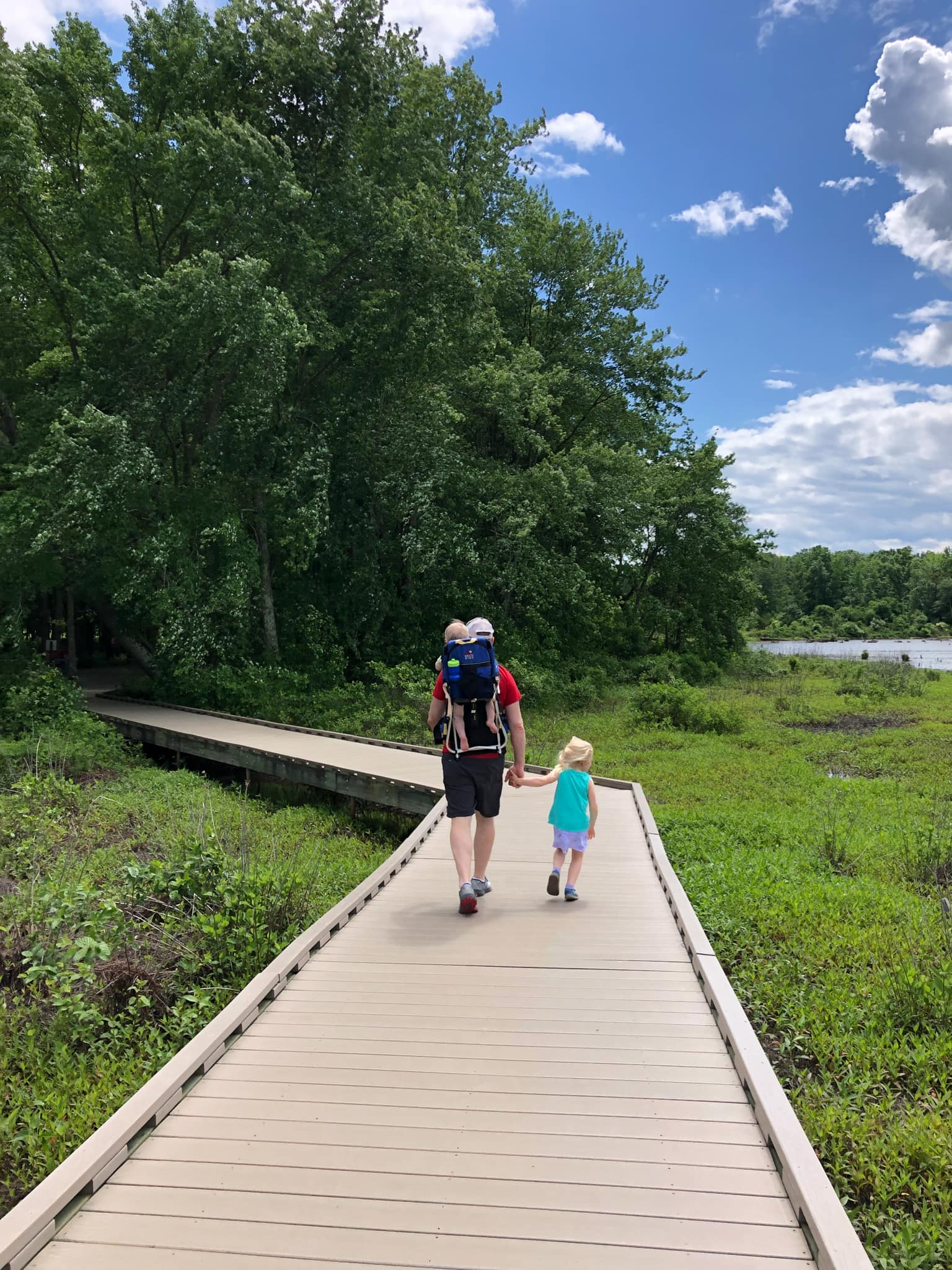 huntley meadows boardwalk