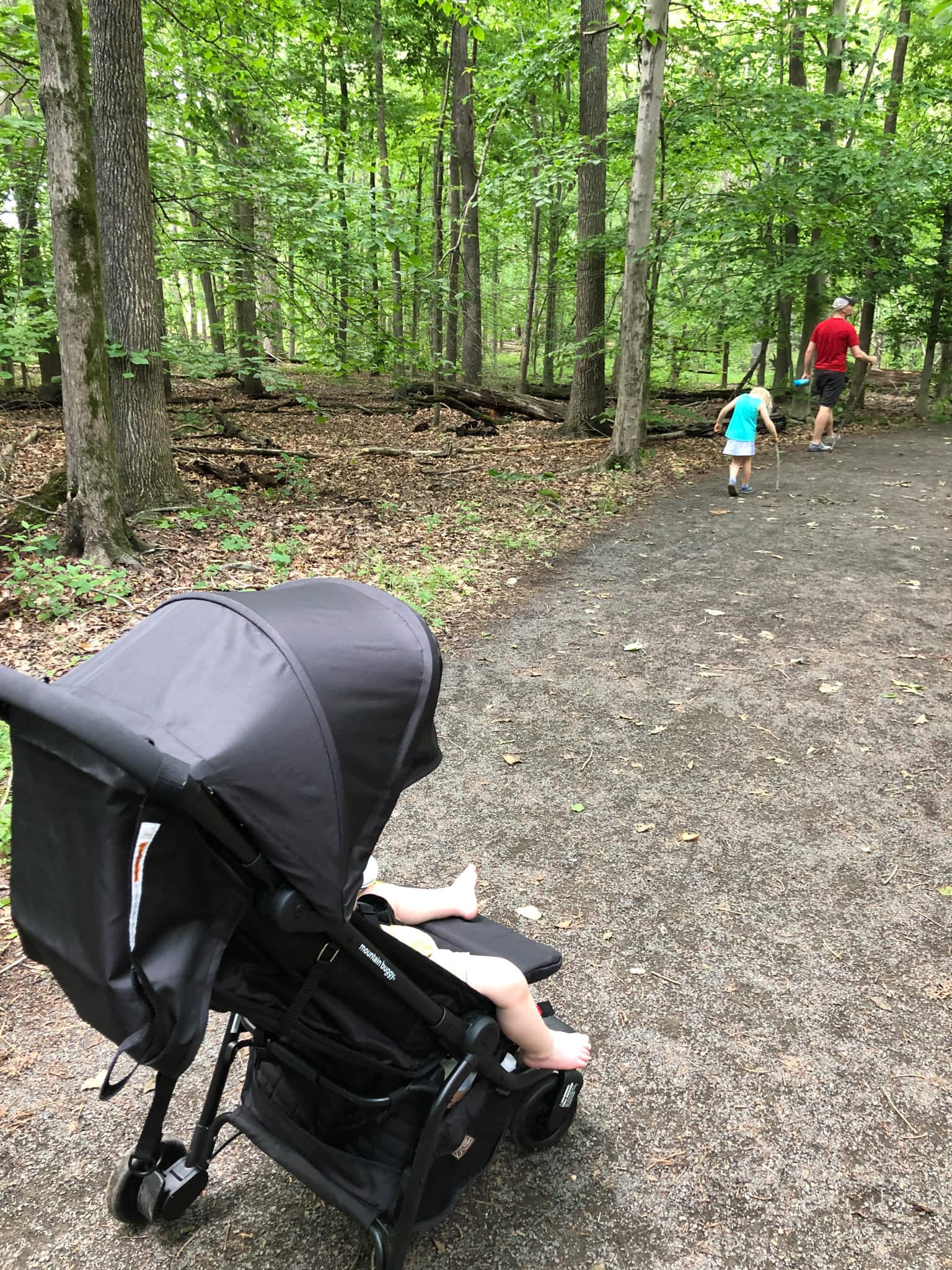 hiking friendly stroller