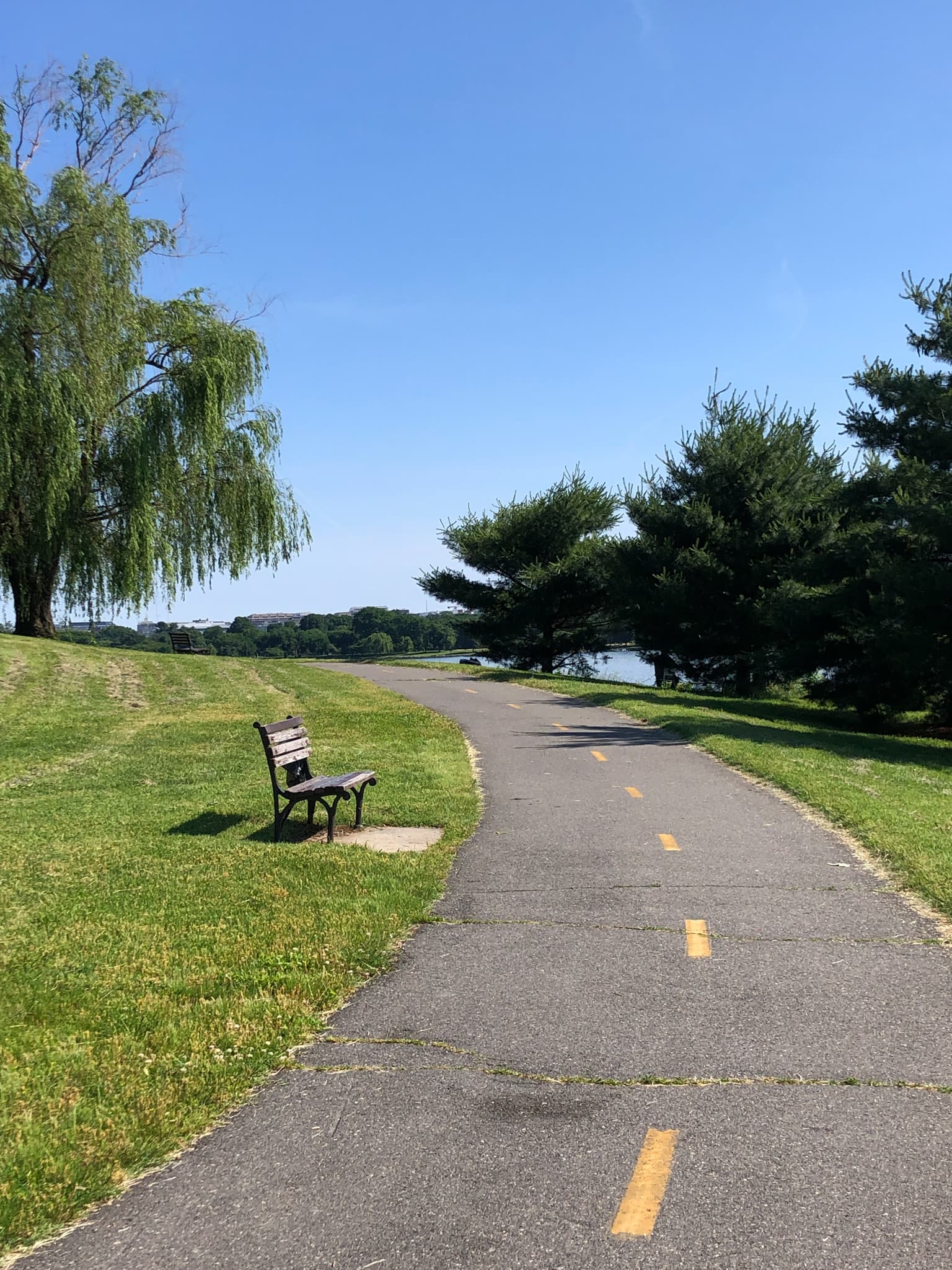 mt vernon running trail