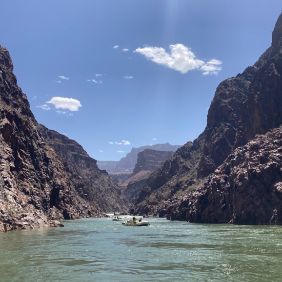 colorado river in the grand canyon.