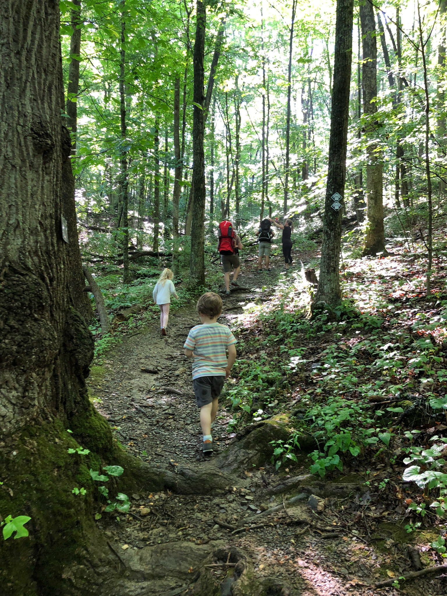 kids hiking