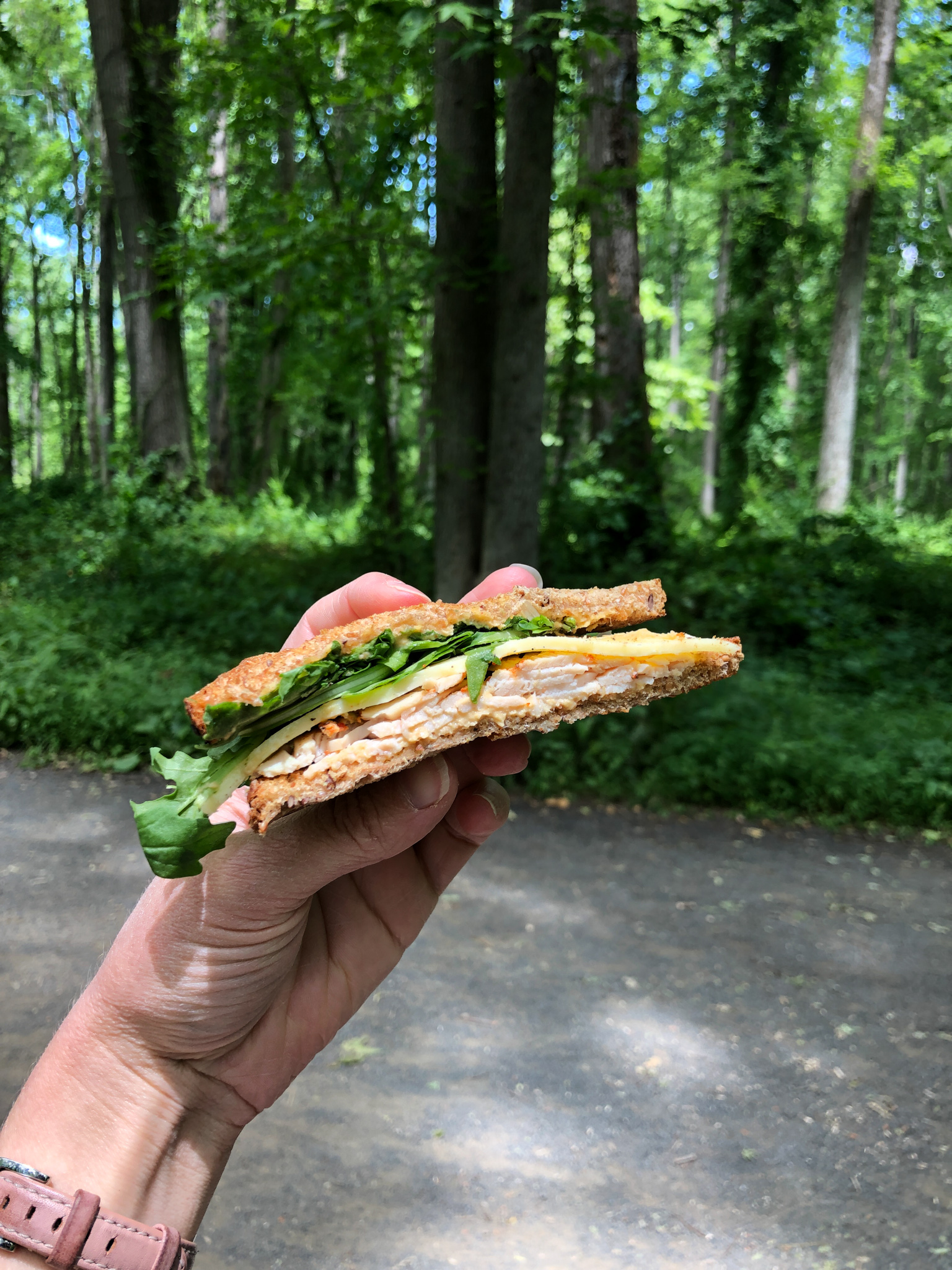 sandwich with turkey, cheese, hummus, and spinach.