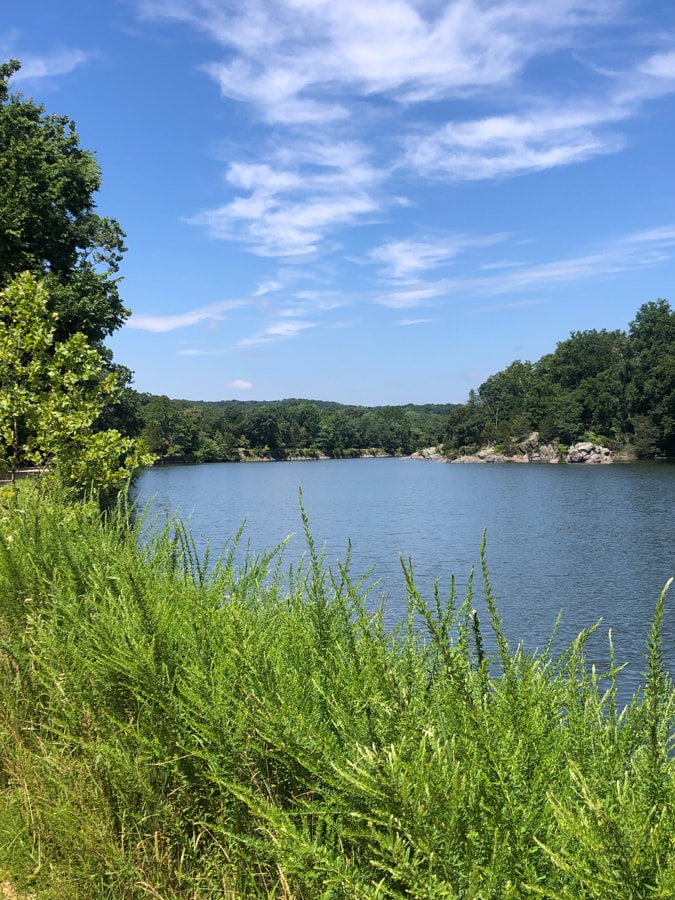 summer view of C&O canal trail with green grass