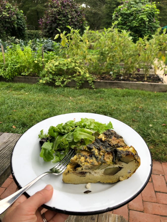 beach plum farm frittata with a garden view