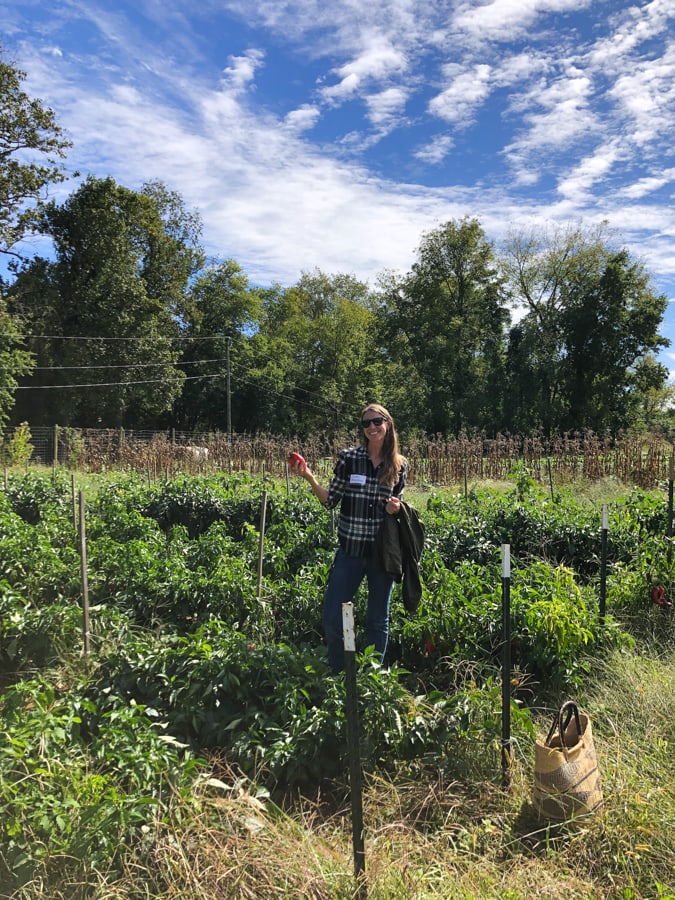 farmer sarah waybright holding a pepper.