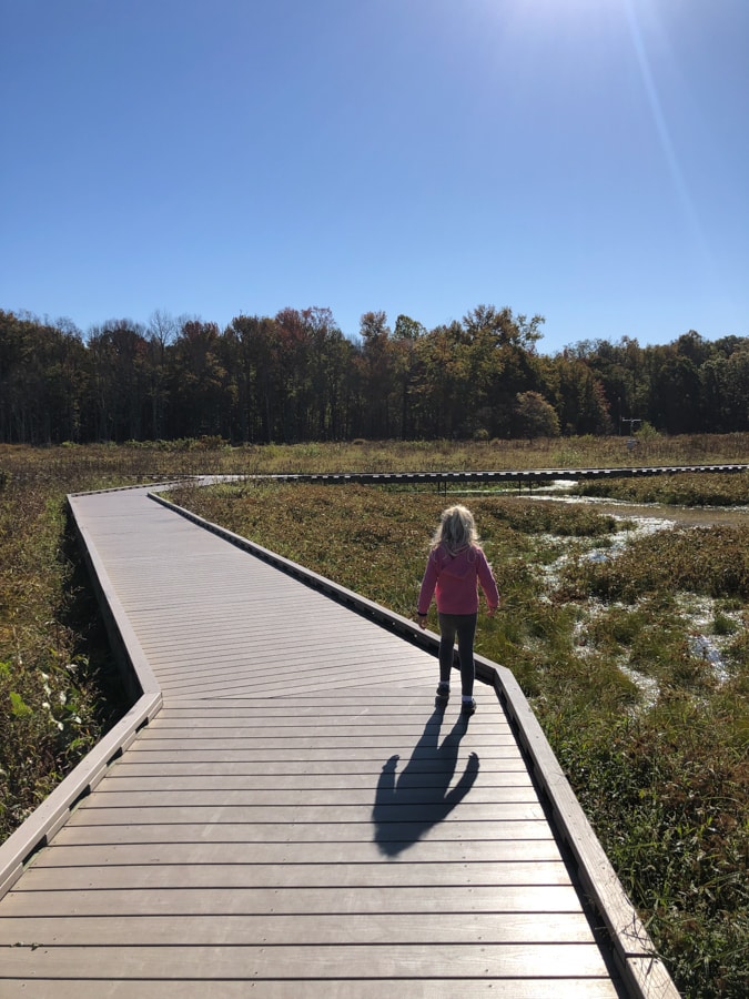 girl hiking at huntley meadows park on boardwalk