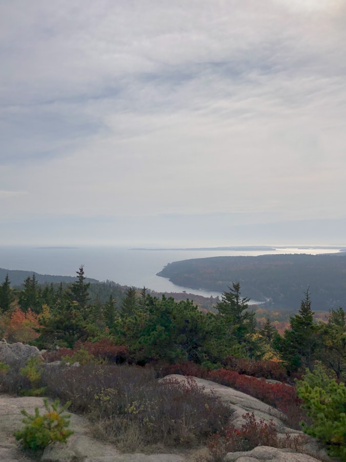 view from gorham mountain trail summit