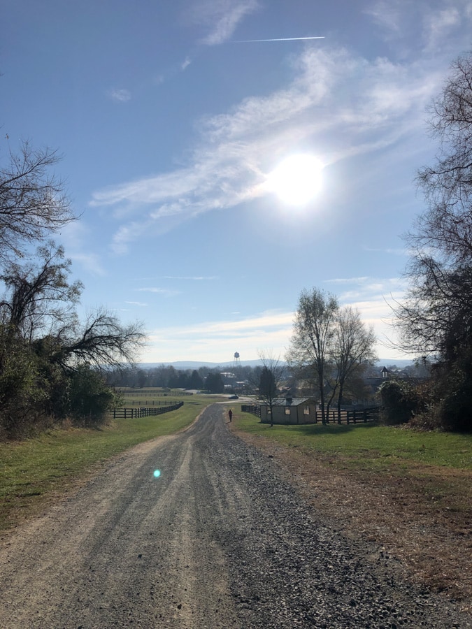 salamander hotel trails