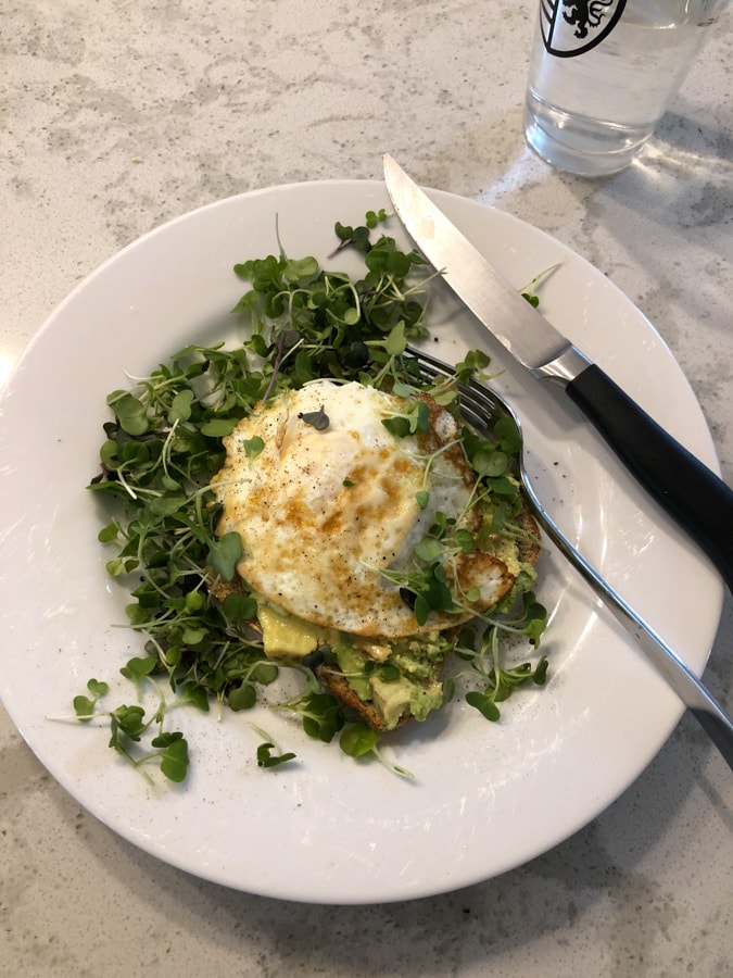 avocado toast with microgreens and fried egg. 