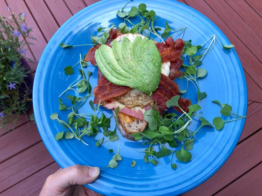 bacon egg avocado toast