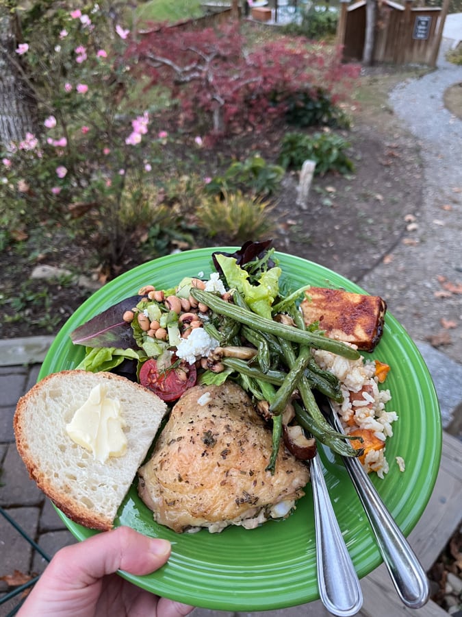 chicken and salad