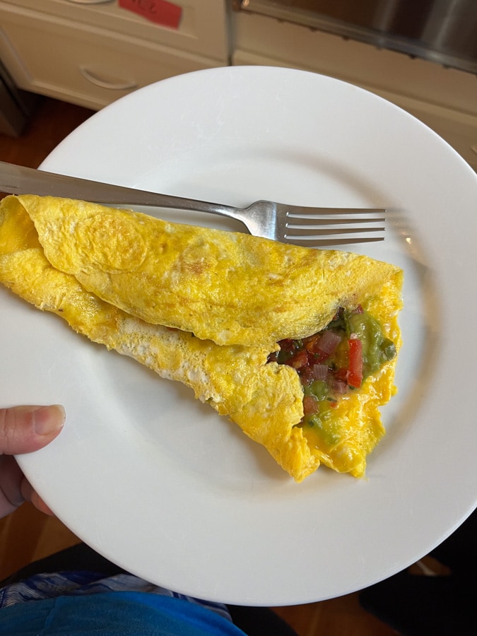 veggie omelette with salsa