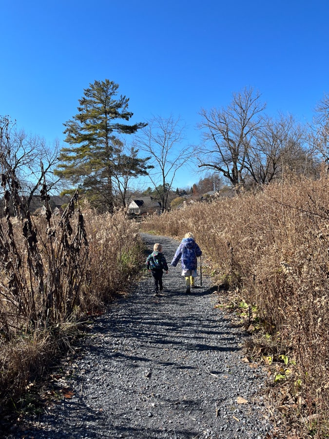kids hiking