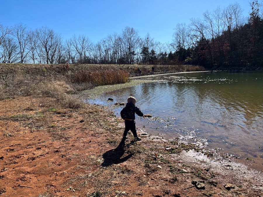 throwing rocks into the lake