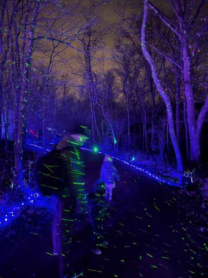 pittsburgh botanic garden light show