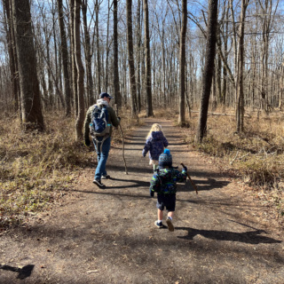 walk in the woods