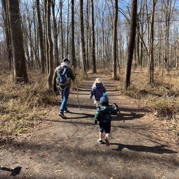 walk in the woods