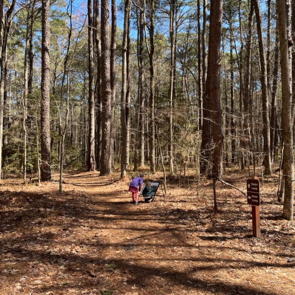 hiking in blackwater national wildlife refuge