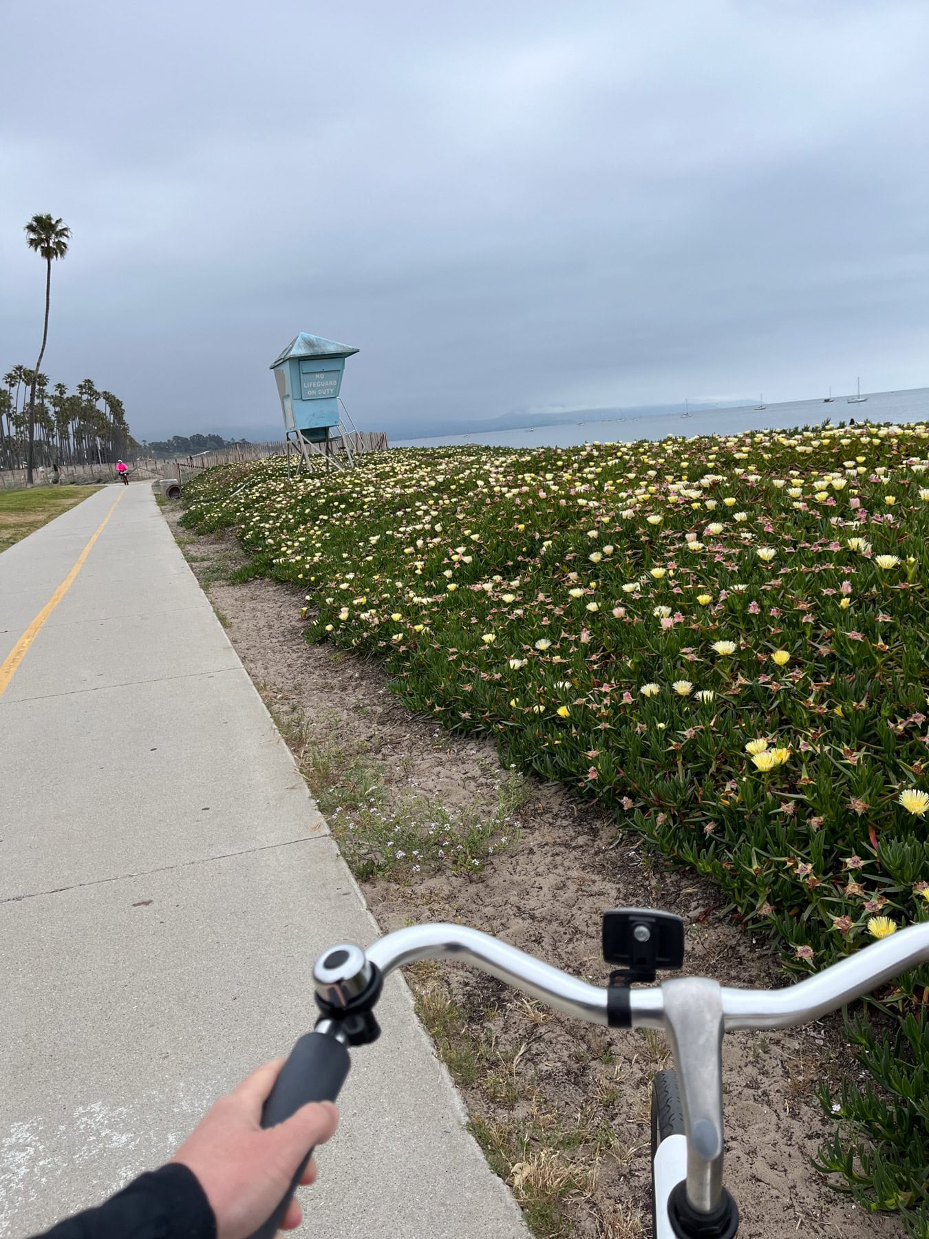 biking on the waterfront path in santa barbara