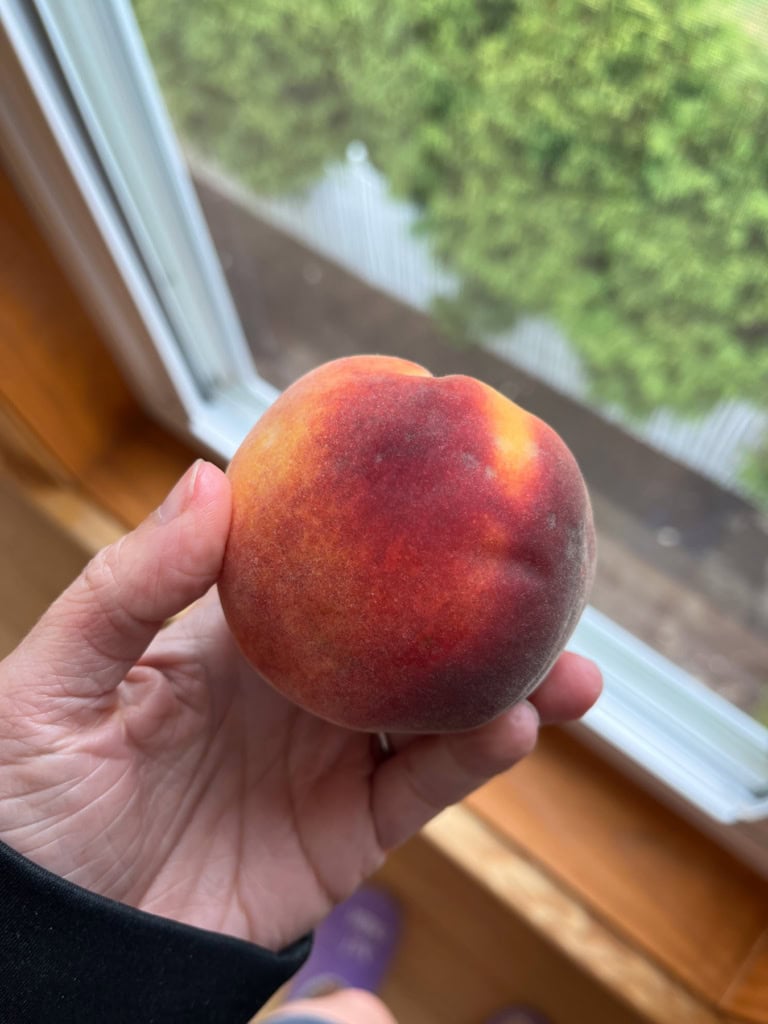 a peach